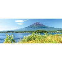 河口湖畔の花と富士山(パノラマ)