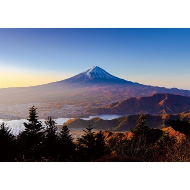 朝陽に輝く富士山