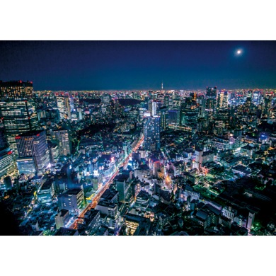 東京の夜とスカイツリー