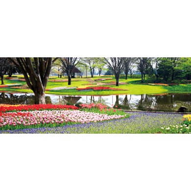 春の花と公園(パノラマ)