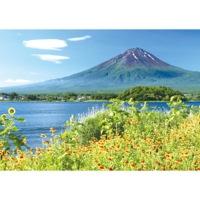河口湖畔の花と富士山