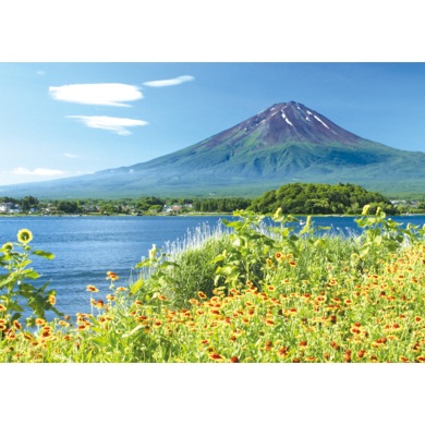 河口湖畔の花と富士山
